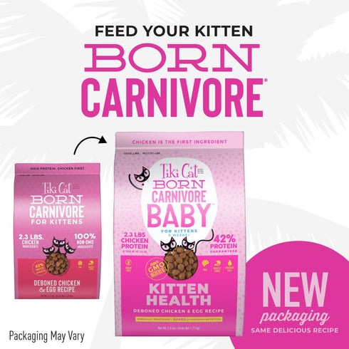 Tiki Cat Born Carnivore Baby Kitten Health Deboned Chicken & Egg Cat Food 2.8lb Poudre Pet & Feed Supply 2